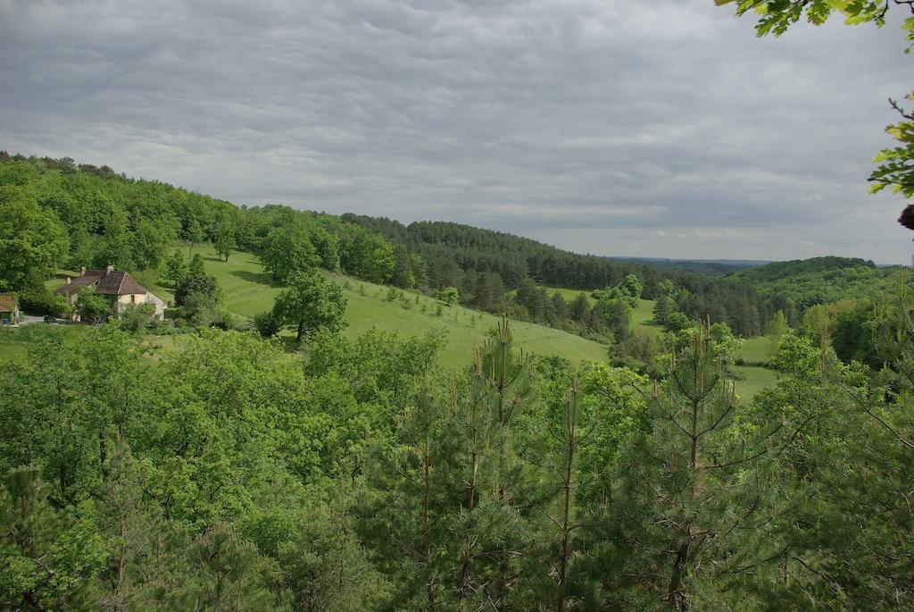 Pechalvet Otel Fleurac  Oda fotoğraf